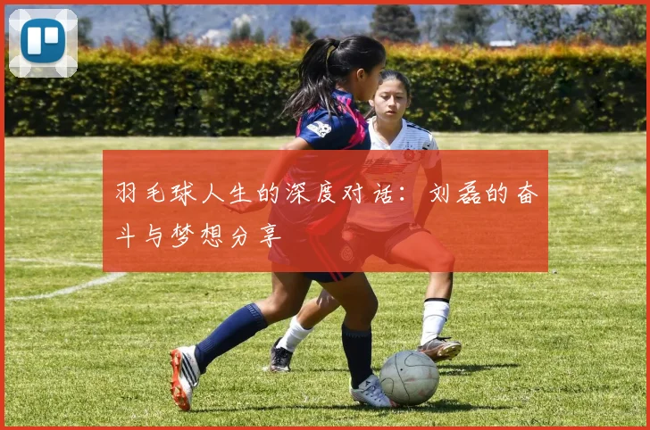 羽毛球人生的深度对话：刘磊的奋斗与梦想分享